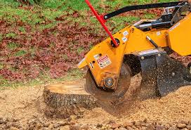 Best Fruit Tree Pruning  in Sandy Hook, CT